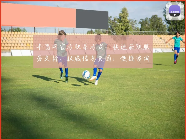 半岛网官方联系方式，快速获取服务支持，权威信息直通，便捷咨询通道，一触即达