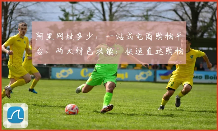 阿里网址多少，一站式电商购物平台，两大特色功能，快速直达购物天堂，必看攻略
